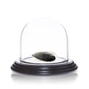 AI WEIWEI 'Sunflower Seed' Hand-Painted Sculpture - Signari Gallery