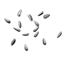 Load image into Gallery viewer, AI WEIWEI 'Sunflower Seed' Hand-Painted Sculpture - Signari Gallery