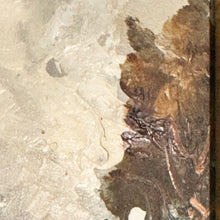 Load image into Gallery viewer, ANTONIO DeVITY 'Paris Street Scene 1' (1950-60's) Framed Original Oil on Canvas