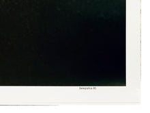 Load image into Gallery viewer, BANKSY 'The Art of Rebellion' Original Documentary Poster - Signari Gallery