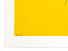 Load image into Gallery viewer, BANKSY 'Choose Your Weapon' (2021) Custom Framed REPLICA Screen Print - Signari Gallery