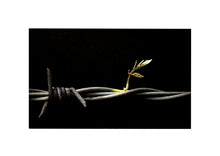 Load image into Gallery viewer, BANKSY 'Walled Off Hotel' (2017) Original Business Card - Signari Gallery
