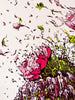 BRUSK 'Rose Romance' (2024) 25-Color Screen Print - Signari Gallery