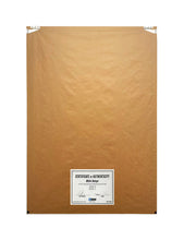 Load image into Gallery viewer, CHRIS SAUNDERS 'White Owlage' (2014) Rare Custom Framed Screen Print - Signari Gallery