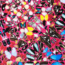 Load image into Gallery viewer, DAMIEN HIRST 'Homage to a Government—The Dwelling Place' (2007) Original Exhibit Poster - Signari Gallery