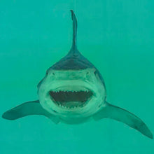 Load image into Gallery viewer, DAMIEN HIRST 'Heaven' (2024) Collectible Cotton Tea Towel - Signari Gallery