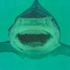 DAMIEN HIRST 'Heaven' (2024) Collectible Cotton Tea Towel - Signari Gallery