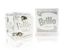 Load image into Gallery viewer, DANIEL ARSHAM 'Eroded Brillo Box' (2020) Cast Resin Sculpture - Signari Gallery