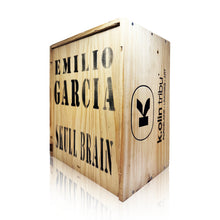 Load image into Gallery viewer, EMILIO GARCIA 'Skull Brain' (2013) Porcelain Designer Art Figure - Signari Gallery
