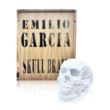 Load image into Gallery viewer, EMILIO GARCIA 'Skull Brain' (2013) Porcelain Designer Art Figure - Signari Gallery