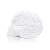 EMILIO GARCIA 'Skull Brain' (2013) Porcelain Designer Art Figure - Signari Gallery