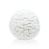 EMILIO GARCIA 'Skull Brain' (2013) Porcelain Designer Art Figure - Signari Gallery