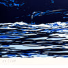 ERNESTO YERENA 'Polar Bear' (2023) Screen Print - Signari Gallery