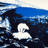 ERNESTO YERENA 'Polar Bear' (2023) Screen Print - Signari Gallery