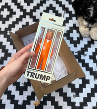 Load image into Gallery viewer, FCTRY 'Donald Trump' (2023) Real Life Action Figure (prison suit) - Signari Gallery