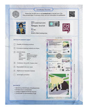 Load image into Gallery viewer, FIN DAC 'Nabigwa' (2022) Hand-Finished Screen Print - Signari Gallery