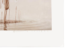 Load image into Gallery viewer, JEREMY GEDDES 'Deluge' (2024) Archival Pigment Print - Signari Gallery