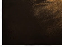 Load image into Gallery viewer, JOHN DOE 'Super Nova' (2023) 8-Color Screen Print (gold) - Signari Gallery