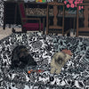 JONAS WOOD 'Robot and Bear' (2024) Offset Lithograph Exhibit Poster - Signari Gallery