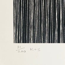 Load image into Gallery viewer, KAI + SUNNY x SHEPARD FAIREY 'Obey x Kai + Sunny' (2013) Rare Screen Print - Signari Gallery