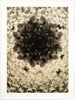 KAI + SUNNY 'Just an Illusion' (2013) Rare Screen Print (gold) - Signari Gallery