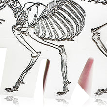 Load image into Gallery viewer, KEITH HARING x DENIAL 'Barking Dog/Cat' (2024) UNIQUE Polystone Designer Art Sculpture - Signari Gallery