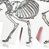 KEITH HARING x DENIAL 'Barking Dog/Cat' (2024) UNIQUE Polystone Designer Art Sculpture - Signari Gallery