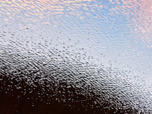 Load image into Gallery viewer, KILLINGSTAR 'Ascension' (2010) Rare Archival Pigment Print - Signari Gallery