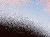 KILLINGSTAR 'Ascension' (2010) Rare Archival Pigment Print - Signari Gallery