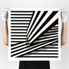 Load image into Gallery viewer, LIAM SNOOTLE 'Just Some Nonsense on My Mind' (2024) Silkscreen Print - Signari Gallery