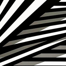 Load image into Gallery viewer, LIAM SNOOTLE 'Just Some Nonsense on My Mind' (2024) Silkscreen Print - Signari Gallery