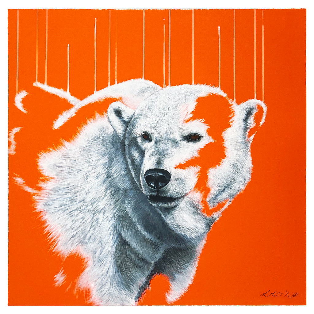 LOUISE McNAUGHT 'Northern Light' (2018) Giclée Print (AP) - Signari Gallery