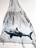 LOUISE McNAUGHT 'Shark in a Bag' (2022) Framed Original on Canvas - Signari Gallery