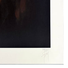 Load image into Gallery viewer, MASON STORM 'Monkey Parliament II' (2022) Original Giclée Print - Signari Gallery