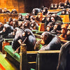 MASON STORM 'Monkey Parliament II' (2022) Original Giclée Print - Signari Gallery