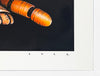 OTTO SCHADE 'Ribboned Tiger' Giclée Print - Signari Gallery