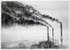 PEJAC 'A Forest' + The Boss + So Far, So Close' (2018-2022) Custom Framed Lottery Edition Postcard Set - Signari Gallery