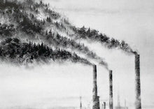 Load image into Gallery viewer, PEJAC 'A Forest' + The Boss + So Far, So Close' (2018-2022) Custom Framed Lottery Edition Postcard Set - Signari Gallery