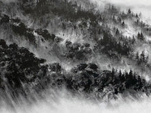 Load image into Gallery viewer, PEJAC 'A Forest' + The Boss + So Far, So Close' (2018-2022) Custom Framed Lottery Edition Postcard Set - Signari Gallery