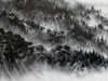 PEJAC 'A Forest' + The Boss + So Far, So Close' (2018-2022) Custom Framed Lottery Edition Postcard Set - Signari Gallery