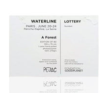 Load image into Gallery viewer, PEJAC 'A Forest' + The Boss + So Far, So Close' (2018-2022) Custom Framed Lottery Edition Postcard Set - Signari Gallery