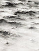 PEJAC 'H2O' Lottery Edition Mounted Postcard - Signari Gallery
