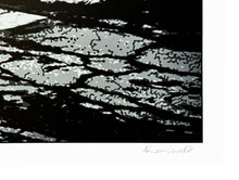 Load image into Gallery viewer, ROAMCOUCH 'The Chase' (2024) 22-Color Screen Print - Signari Gallery