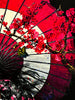 ROAMCOUCH 'Yamato Nadeshiko: Haru' (2023) Tondo Print - Signari Gallery