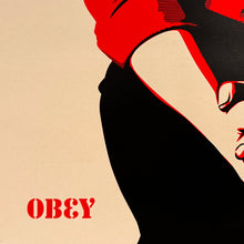 Load image into Gallery viewer, SHEPARD FAIREY 'Jasper Johns' (2009) Rare Screen Print (cream-#193) - Signari Gallery