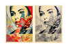 SHEPARD FAIREY 'One Earth' (2024) Screen Print Set - Signari Gallery