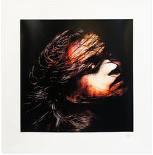Load image into Gallery viewer, SNIK 'Finding Freedom' (Sunfire) Screen Print - Signari Gallery