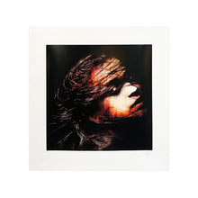 Load image into Gallery viewer, SNIK 'Finding Freedom' (2015) Screen Print (Sunfire) - Signari Gallery