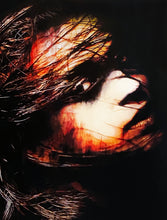 Load image into Gallery viewer, SNIK 'Finding Freedom' (Sunfire) Screen Print - Signari Gallery