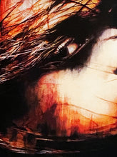 Load image into Gallery viewer, SNIK 'Finding Freedom' (Sunfire) Screen Print - Signari Gallery